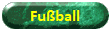Fu�ball