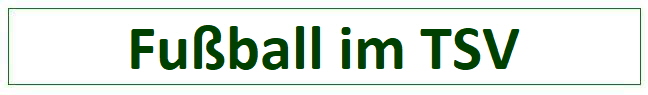 Fu�ball im TSV