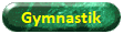 Gymnastik